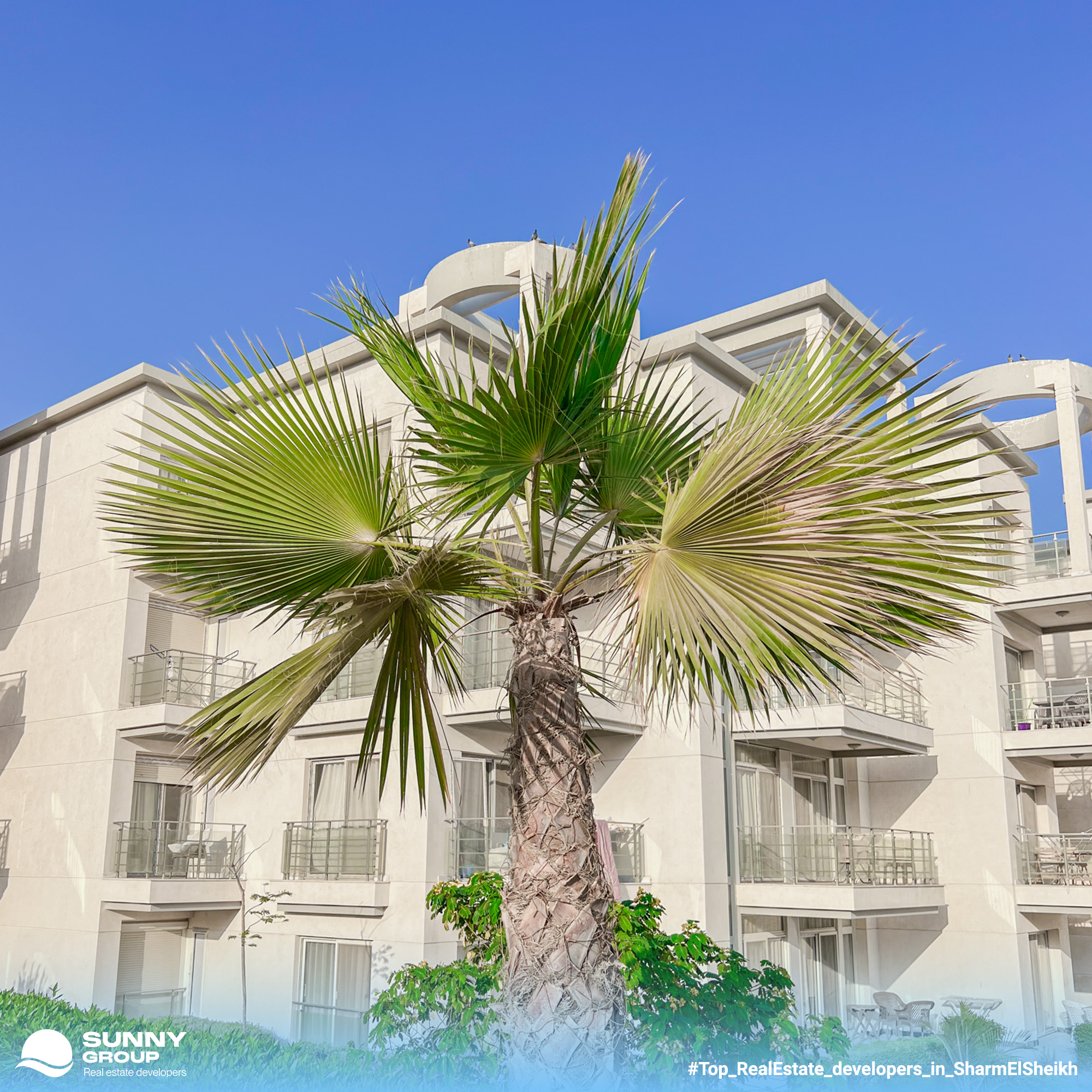 Sunny Beach Resort 7